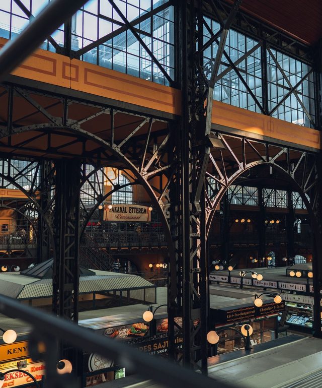 anton-shakirov-k6pXI12U9ek-unsplash anton-shakirov-k6pXI12U9ek-unsplash